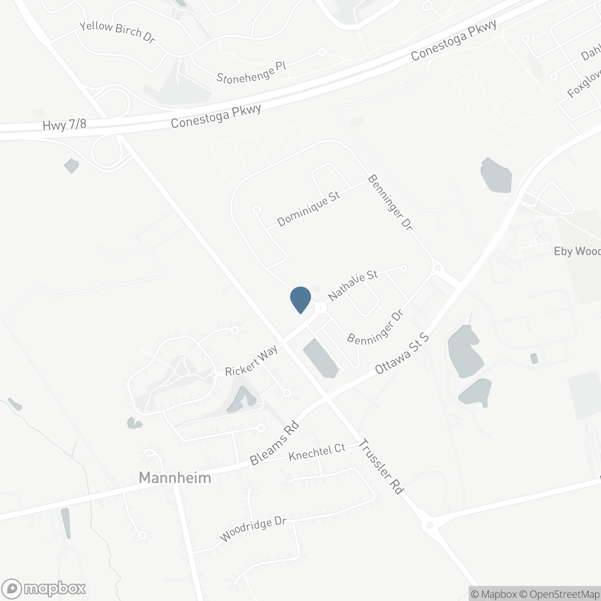 546 BENNINGER DRIVE, Kitchener, Ontario N2E 0C9
